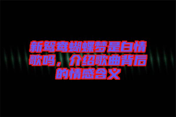 新鴛鴦蝴蝶夢是白情歌嗎，介紹歌曲背后的情感含義