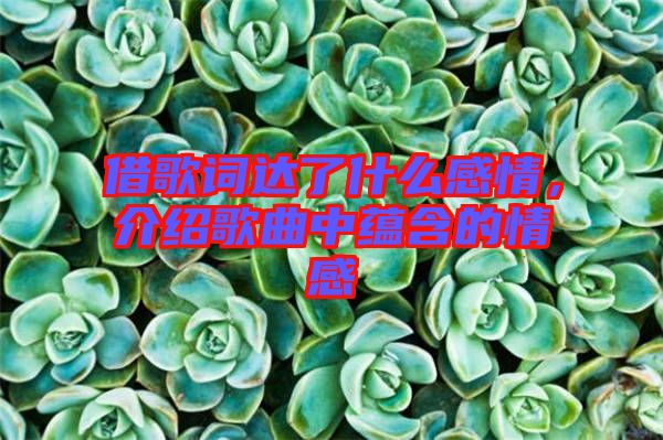 借歌詞達(dá)了什么感情，介紹歌曲中蘊(yùn)含的情感