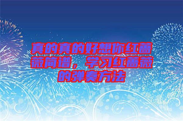 真的真的好想你紅薔薇簡譜，學(xué)習(xí)紅薔薇的彈奏方法
