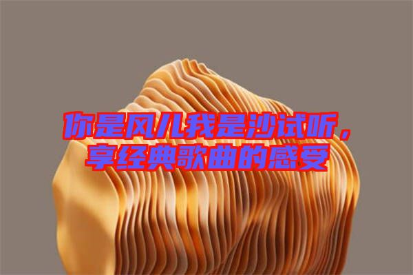 你是風兒我是沙試聽，享經(jīng)典歌曲的感受