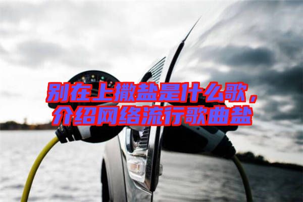 別在上撒鹽是什么歌，介紹網(wǎng)絡流行歌曲鹽