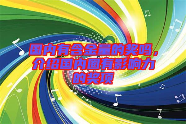國內(nèi)有含金量的獎嗎，介紹國內(nèi)圈有影響力的獎項