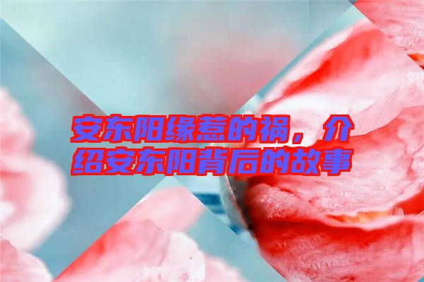 安東陽(yáng)緣惹的禍，介紹安東陽(yáng)背后的故事