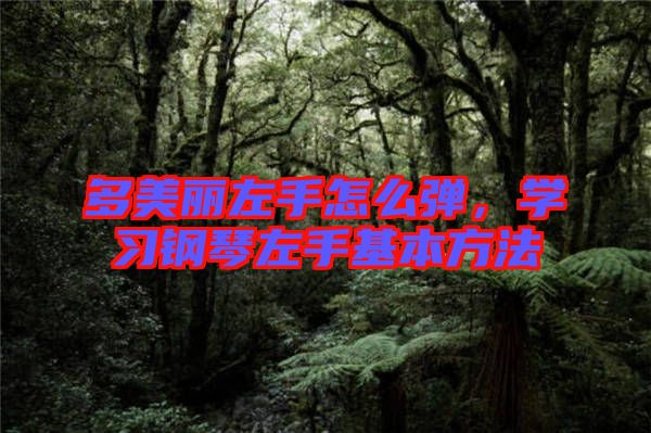 多美麗左手怎么彈，學(xué)習(xí)鋼琴左手基本方法