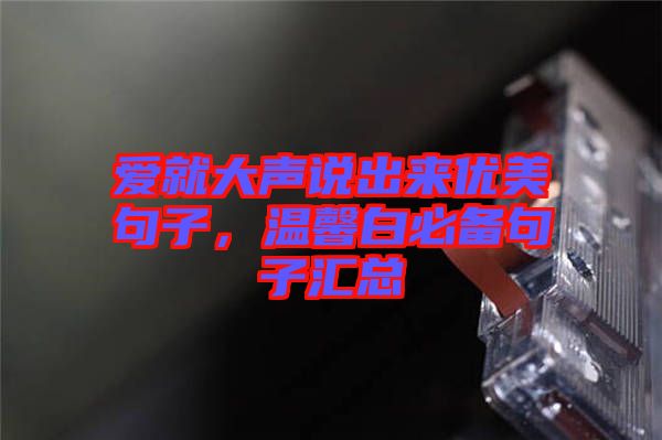 愛(ài)就大聲說(shuō)出來(lái)優(yōu)美句子，溫馨白必備句子匯總