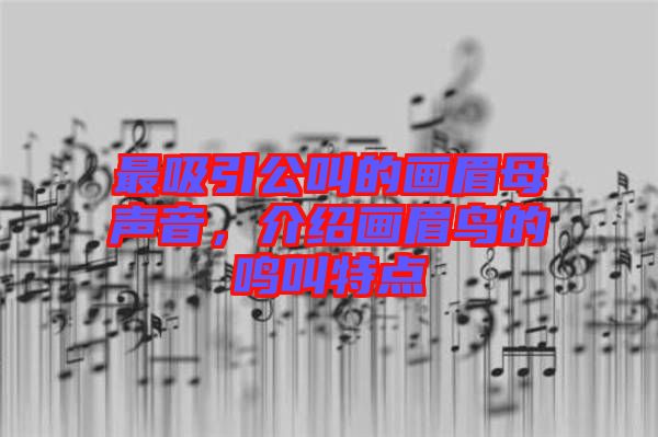 最吸引公叫的畫(huà)眉母聲音，介紹畫(huà)眉鳥(niǎo)的鳴叫特點(diǎn)