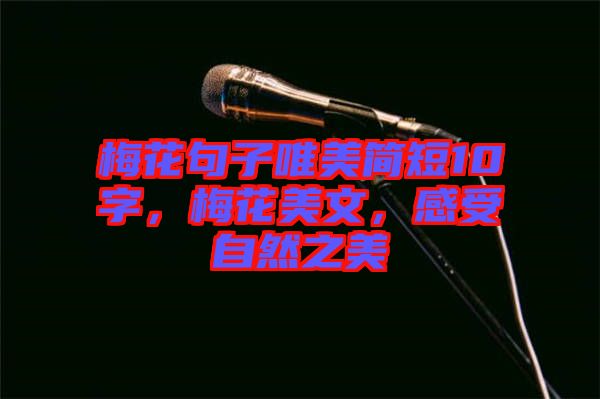 梅花句子唯美簡短10字，梅花美文，感受自然之美