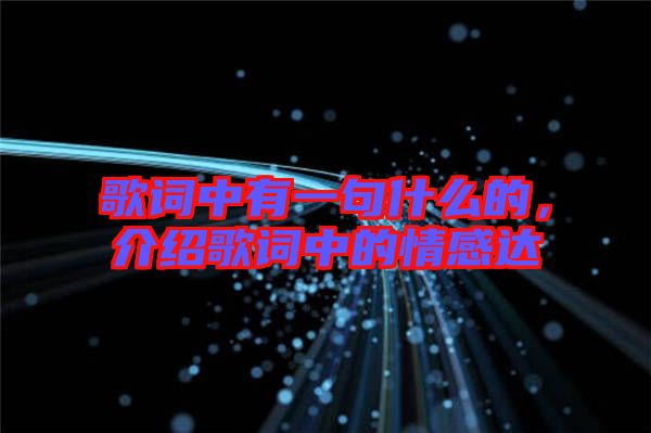 歌詞中有一句什么的，介紹歌詞中的情感達(dá)