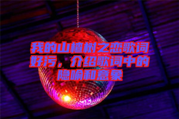 我的山楂樹之戀歌詞好污，介紹歌詞中的隱喻和意象
