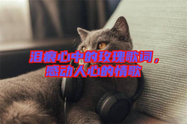 淚痕心中的玫瑰歌詞，感動人心的情歌