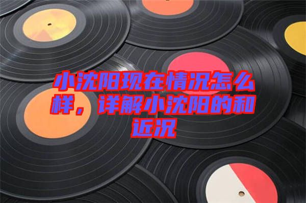 小沈陽(yáng)現(xiàn)在情況怎么樣，詳解小沈陽(yáng)的和近況