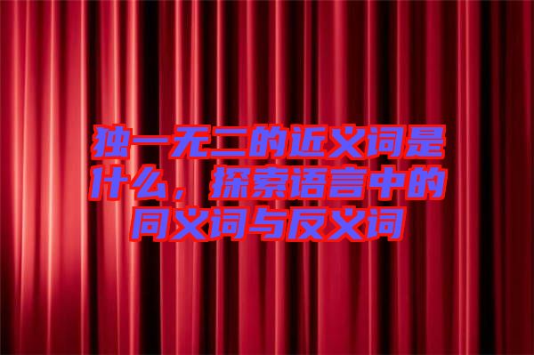 獨(dú)一無二的近義詞是什么，探索語言中的同義詞與反義詞
