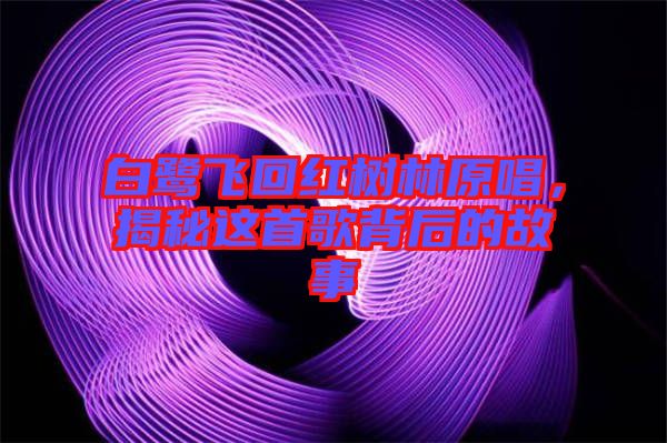 白鷺飛回紅樹(shù)林原唱，揭秘這首歌背后的故事