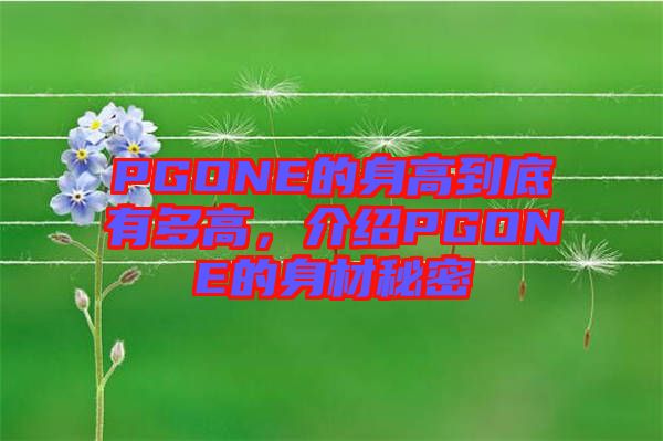 PGONE的身高到底有多高，介紹PGONE的身材秘密