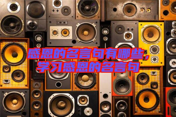 感恩的名言句有哪些，學(xué)習(xí)感恩的名言句