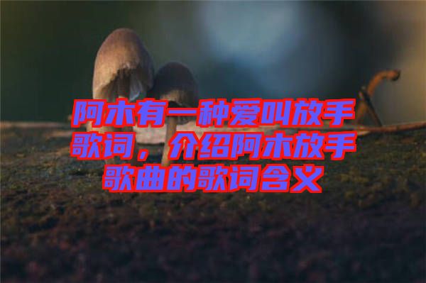 阿木有一種愛(ài)叫放手歌詞，介紹阿木放手歌曲的歌詞含義