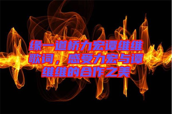 緣一道橋力宏譚維維歌詞，感受力宏與譚維維的合作之美