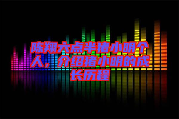 陳翔六點半豬小明個人，介紹豬小明的成長歷程