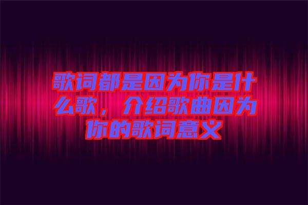 歌詞都是因為你是什么歌，介紹歌曲因為你的歌詞意義