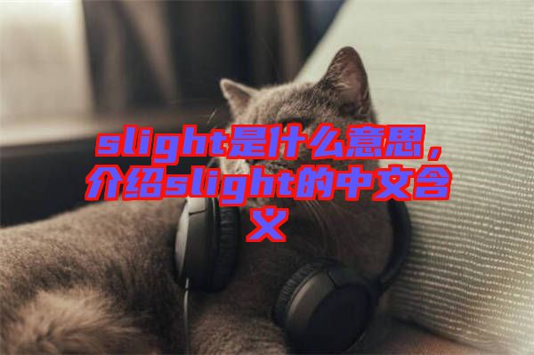 slight是什么意思，介紹slight的中文含義