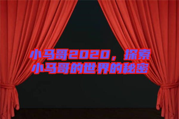 小馬哥2020，探索小馬哥的世界的秘密