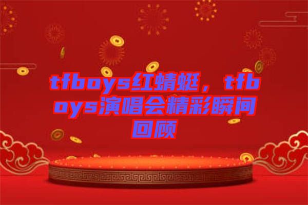 tfboys紅蜻蜓，tfboys演唱會精彩瞬間回顧