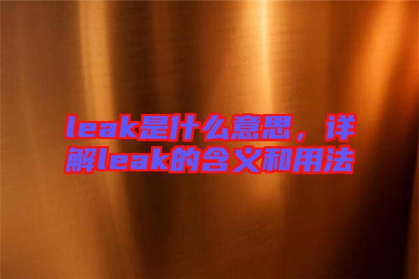 leak是什么意思，詳解leak的含義和用法