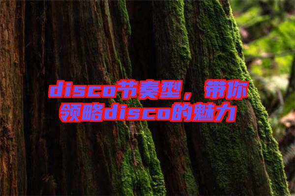 disco節(jié)奏型，帶你領略disco的魅力