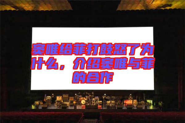 竇唯給菲打鼓怒了為什么，介紹竇唯與菲的合作