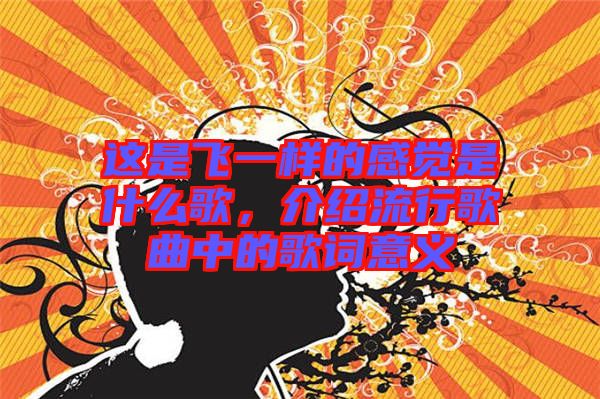 這是飛一樣的感覺是什么歌，介紹流行歌曲中的歌詞意義