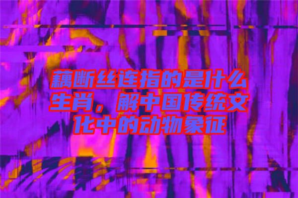 藕斷絲連指的是什么生肖，解中國(guó)傳統(tǒng)文化中的動(dòng)物象征