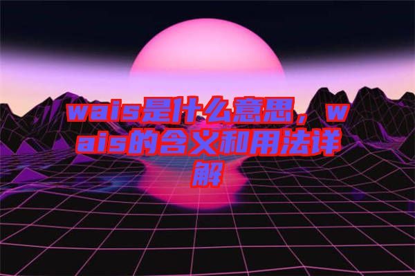 wais是什么意思，wais的含義和用法詳解