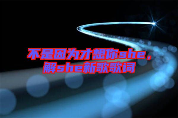 不是因為才想你she，解she新歌歌詞