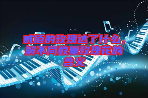 貳佰的玫瑰達(dá)了什么，解不同數(shù)量玫瑰花的含義