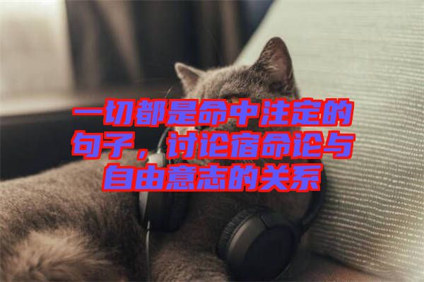 一切都是命中注定的句子，討論宿命論與自由意志的關(guān)系