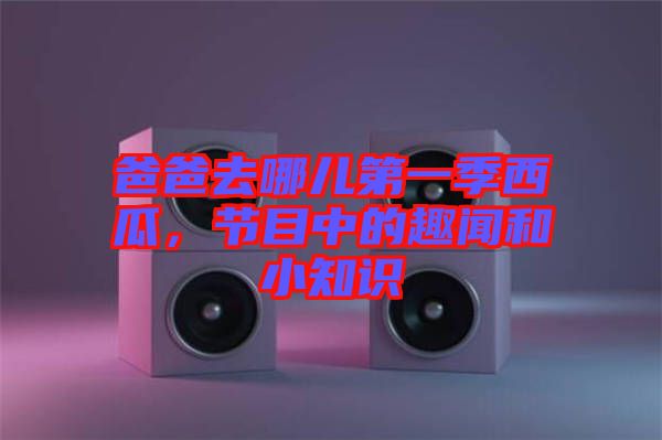 爸爸去哪兒第一季西瓜，節(jié)目中的趣聞和小知識