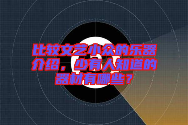 比較文藝小眾的樂器介紹，少有人知道的器材有哪些？
