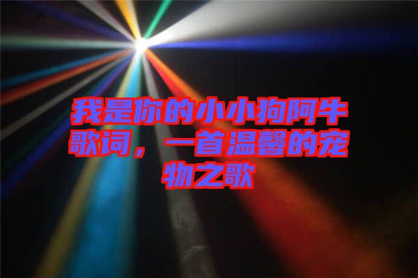 我是你的小小狗阿牛歌詞，一首溫馨的寵物之歌