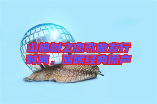 山楂樹之戀歌曲發(fā)行時(shí)間，回顧經(jīng)典原聲