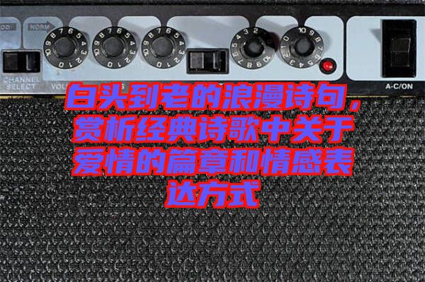 白頭到老的浪漫詩句，賞析經(jīng)典詩歌中關(guān)于愛情的篇章和情感表達(dá)方式