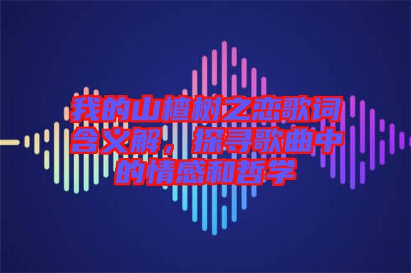 我的山楂樹之戀歌詞含義解，探尋歌曲中的情感和哲學