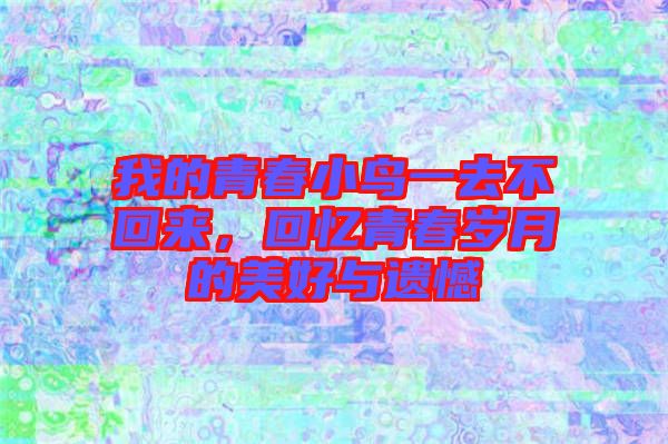 我的青春小鳥(niǎo)一去不回來(lái)，回憶青春歲月的美好與遺憾