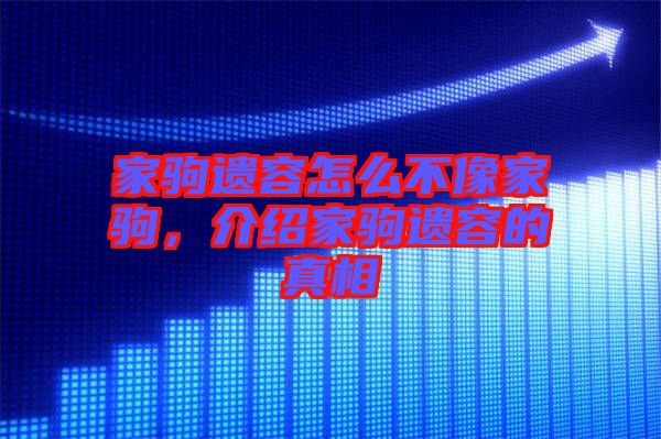 家駒遺容怎么不像家駒，介紹家駒遺容的真相