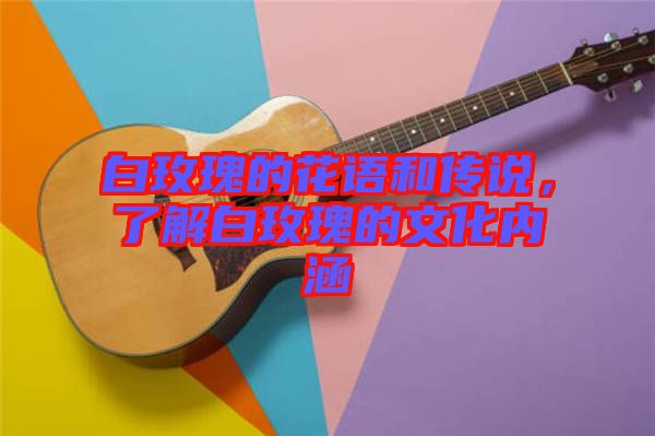 白玫瑰的花語和傳說，了解白玫瑰的文化內(nèi)涵