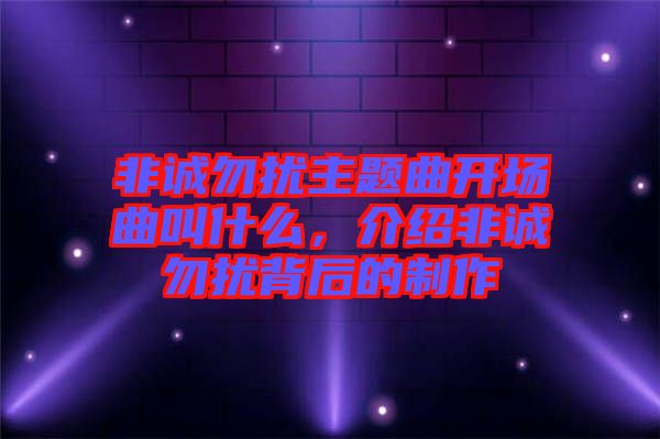 非誠勿擾主題曲開場曲叫什么，介紹非誠勿擾背后的制作