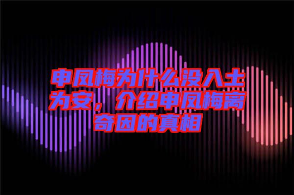 申鳳梅為什么沒入土為安，介紹申鳳梅離奇因的真相