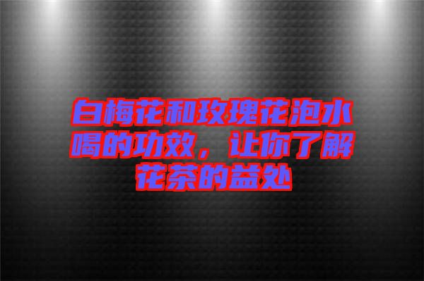 白梅花和玫瑰花泡水喝的功效，讓你了解花茶的益處