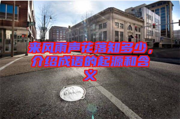 來風(fēng)雨聲花落知多少，介紹成語的起源和含義
