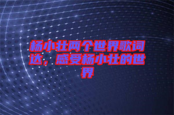 楊小壯兩個(gè)世界歌詞達(dá)，感受楊小壯的世界