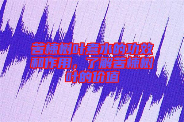 苦楝樹葉煮水的功效和作用，了解苦楝樹葉的價值
